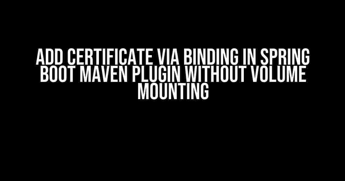 Add Certificate via Binding in Spring Boot Maven Plugin without Volume Mounting